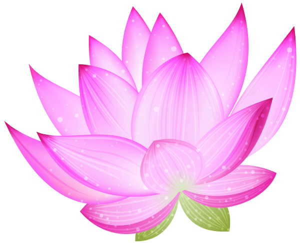 Guided Meditation